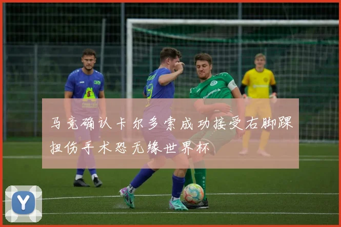 马竞确认卡尔多索成功接受右脚踝扭伤手术恐无缘世界杯