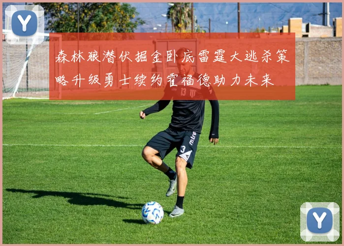 森林狼潜伏掘金卧底雷霆大逃杀策略升级勇士续约霍福德助力未来